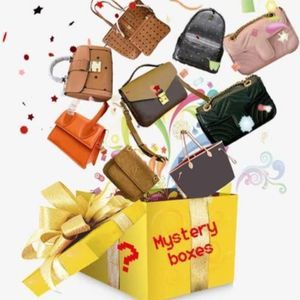 $100 Mystery Purse Reseller Box